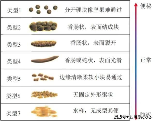 大便分类网站，健康环保领域的新探索