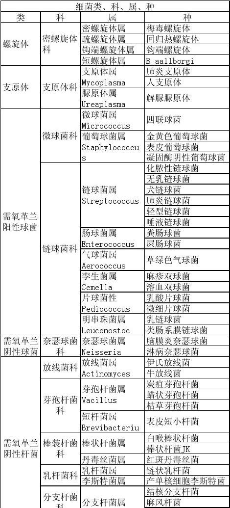 揭秘细菌世界的分类宝库，专业网站深度解析