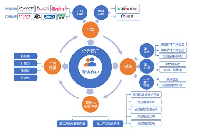 探索分类网站未来趋势，发展方向与策略调整