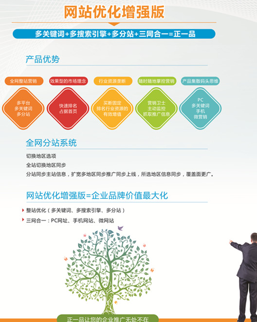 分类网站优化咨询公司，企业数字化转型的助推器