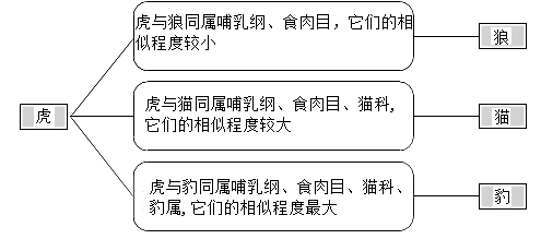 2024年12月24日 第2页