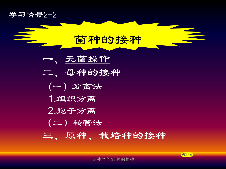 菌种分类网站，微生物世界的探索指南