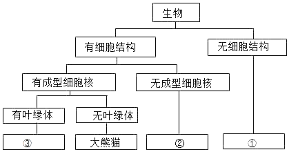 生物分类网站，连接知识世界的桥梁