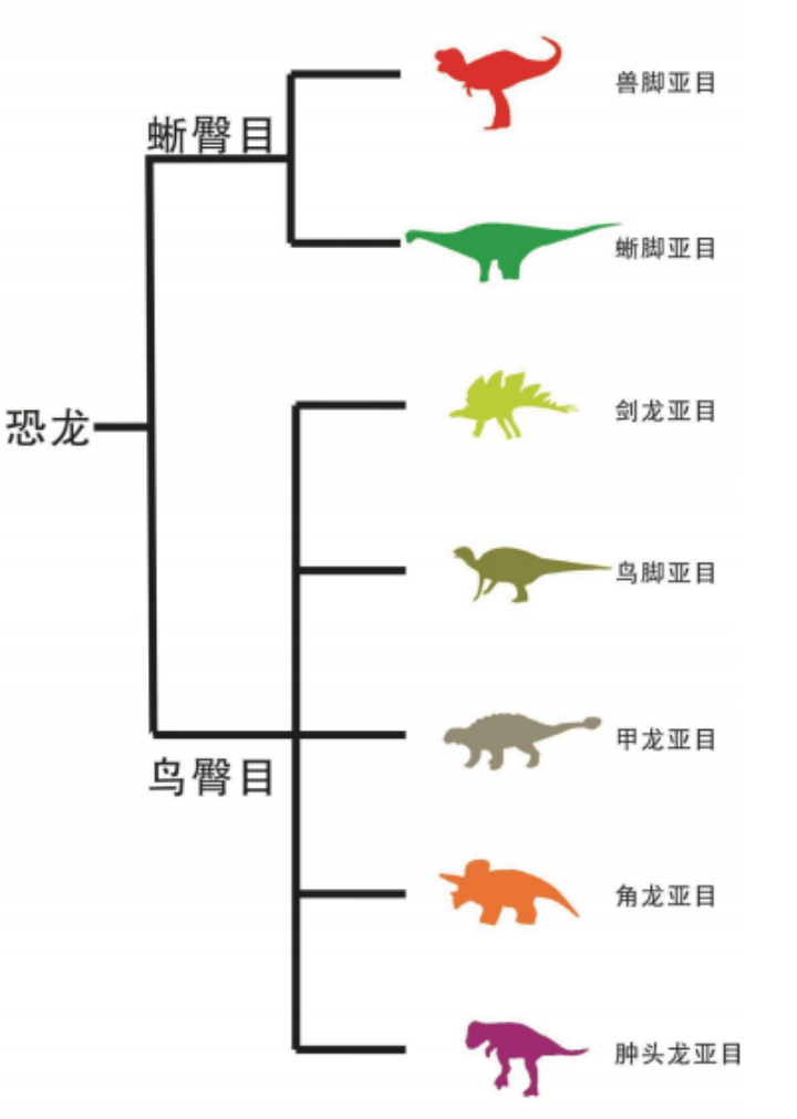 恐龙世界探索指南，恐龙分类网站数字导航