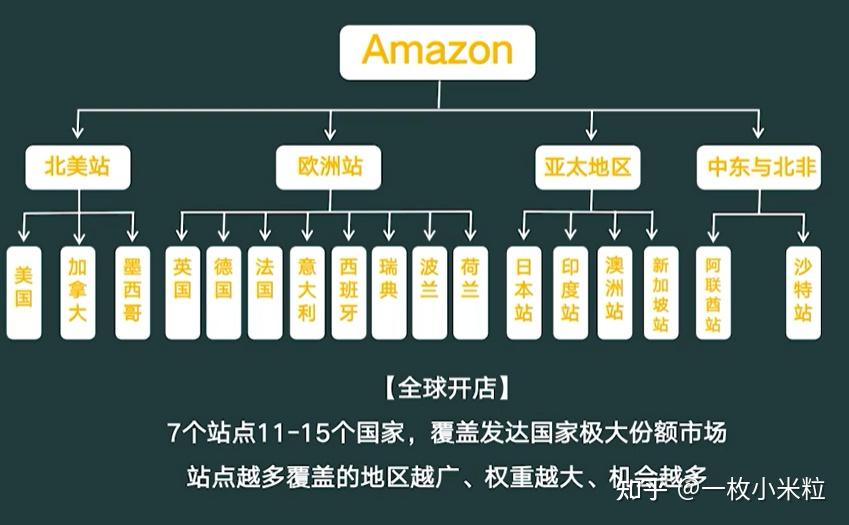 亚马逊网站分类，探秘电子商务巨头的商品世界