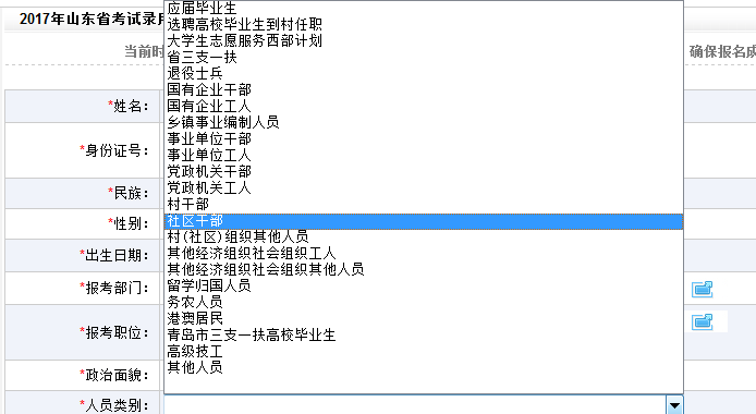 专业分类网站，定义、价值及应用的深度探索