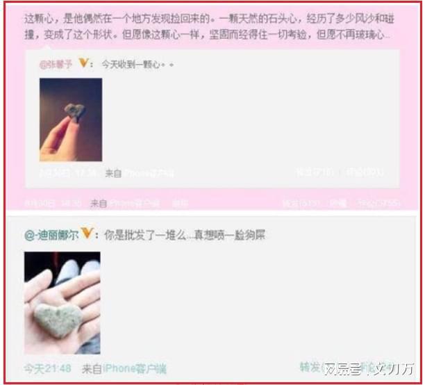 女优与分类网站，演艺界的数字化新纪元探索