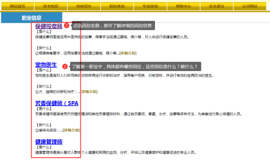 分类信息网站行业深度探析，行业分类研究与发展趋势探讨