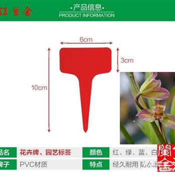 花卉标签分类网站，专业花卉信息交流平台的构建