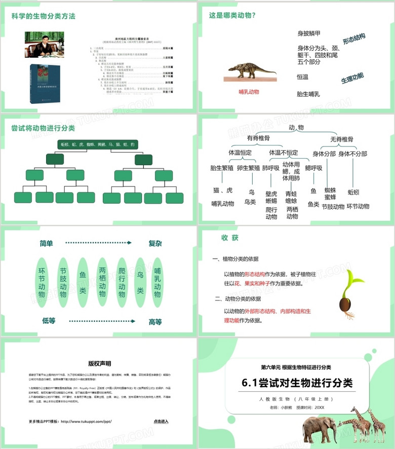 生物多样性数字化探索平台，生物分类网站的生命多样性之旅