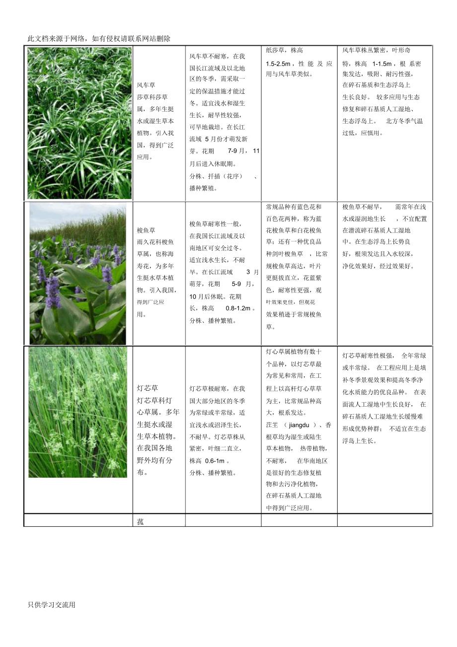 植物分类教案网站设计及其内容构建指南