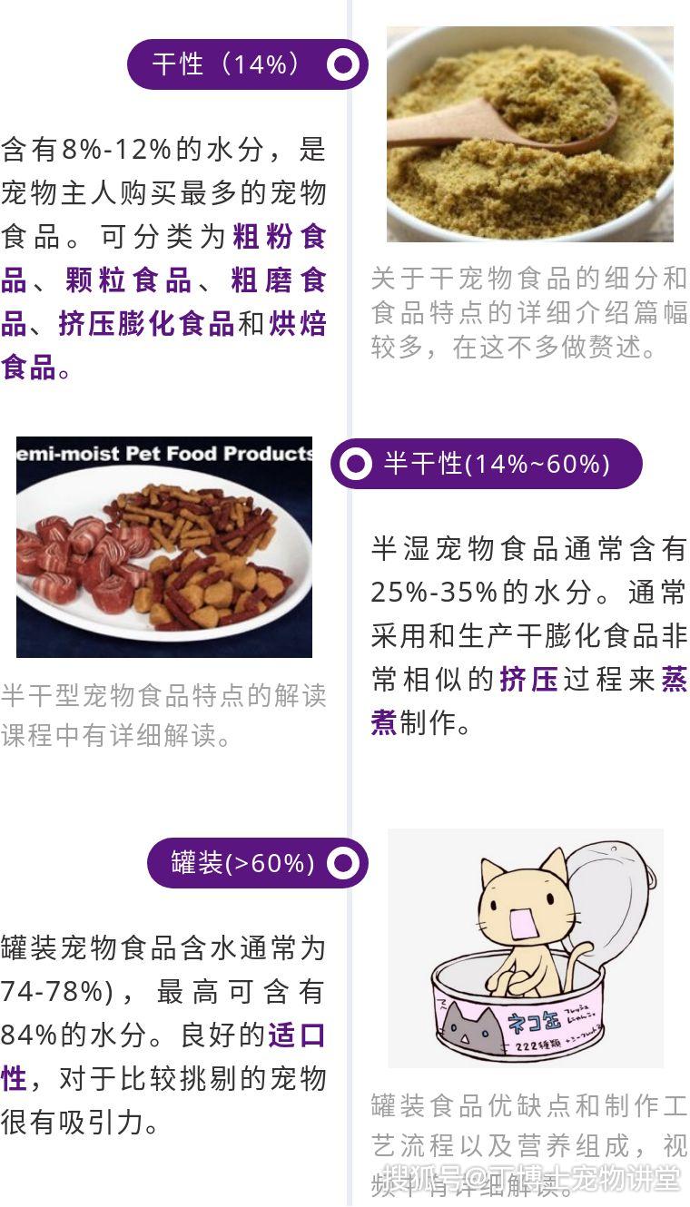 权威食物分类网站，引领食品行业信息革新的先锋