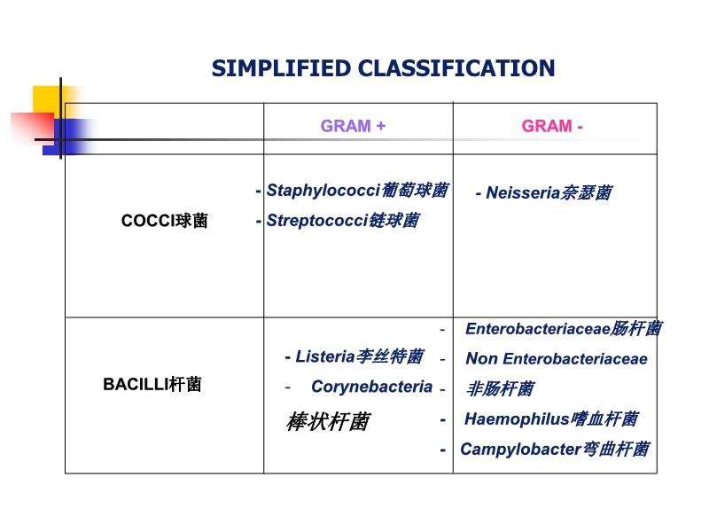 细菌分类检索网站，微生物世界的数字化探索工具