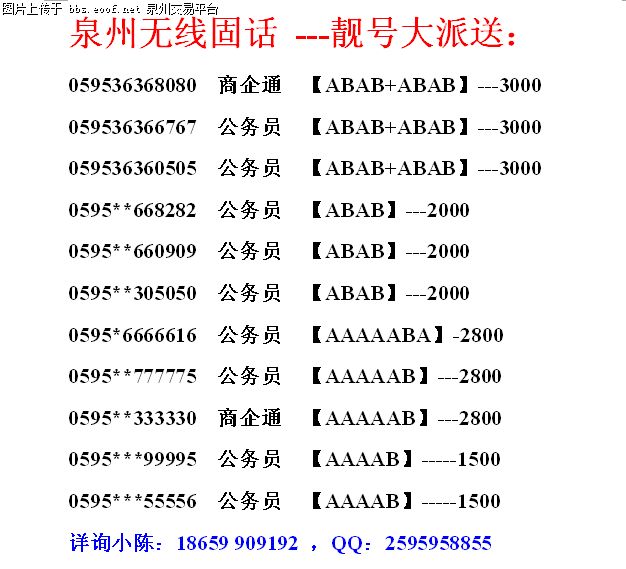 泉州网站多元分类，探索信息世界的无限可能