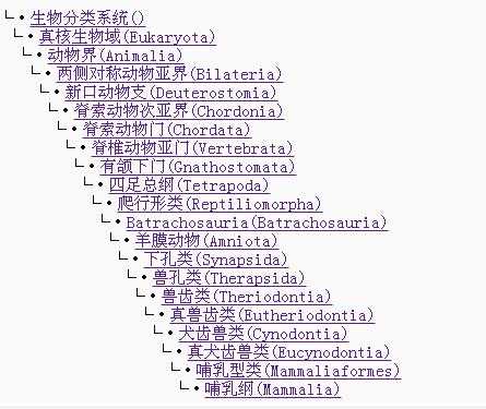 生物分类与生命多样性，数字化探索平台