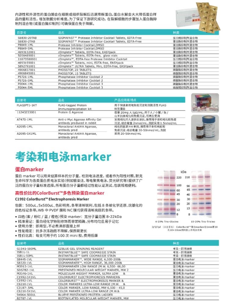 试剂分类查询网站，科研实验的高效导航助手