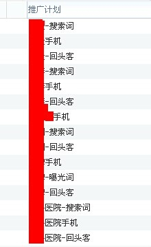 分类网站推广计划概要