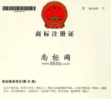 网站商标分类，开启品牌保护与维护新纪元