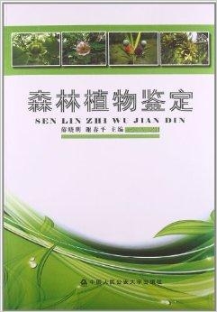 数字化时代的绿色智慧，植物鉴定分类网站探索