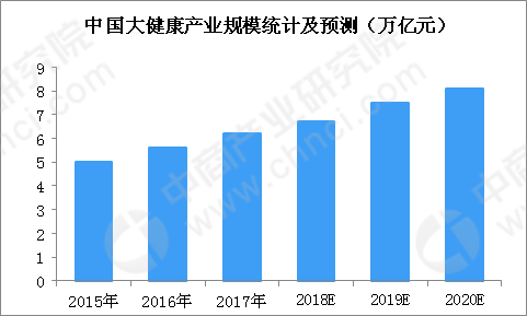 运动网站现状分类图表与深度解析报告