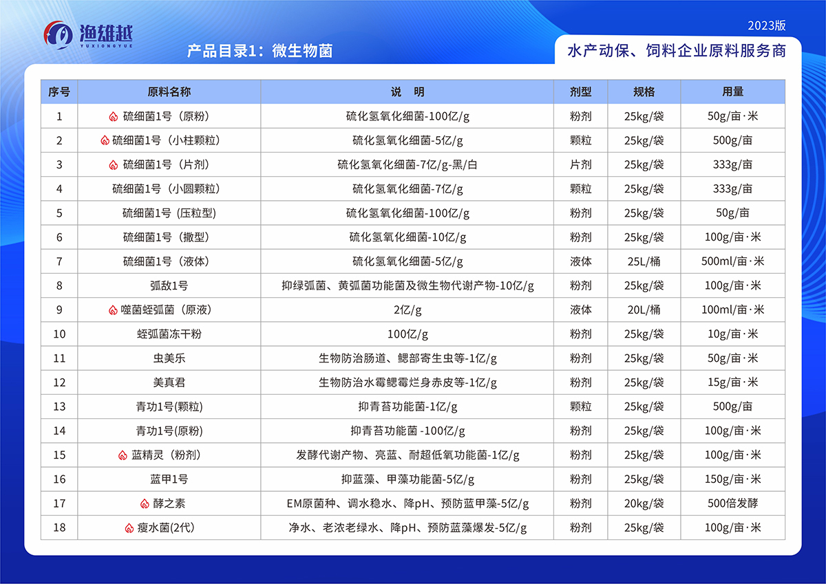 网站产品分类与目录管理，提升用户体验与运营效率的核心策略