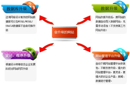 网站分类与价值深度研究