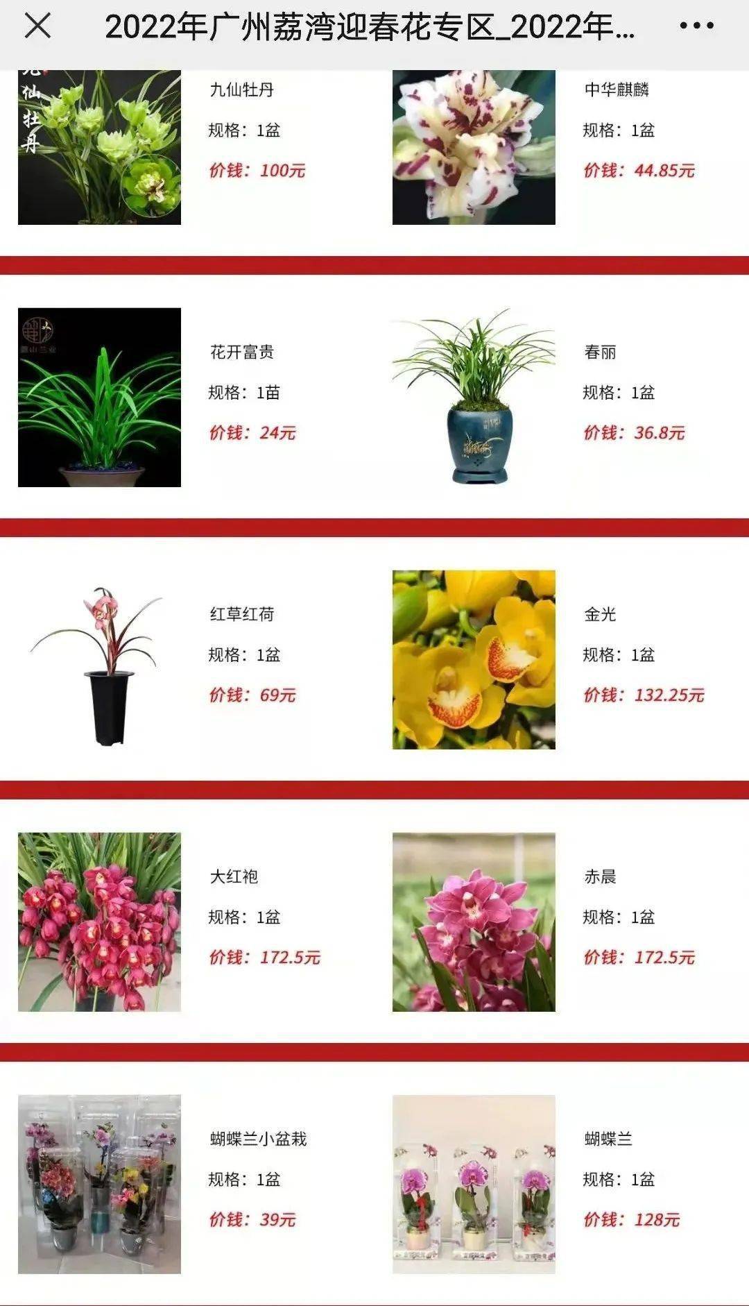 花卉品种分类与网站查询，探索花卉世界的必备指南