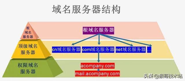 网站域名分类与命名策略探讨