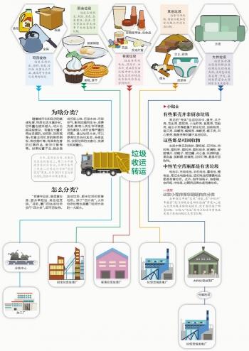 中国分类视频网站，繁荣视听生态与多元内容创新探究