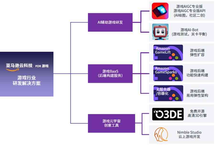 网站程序分类概览，从类型到特点一网打尽！