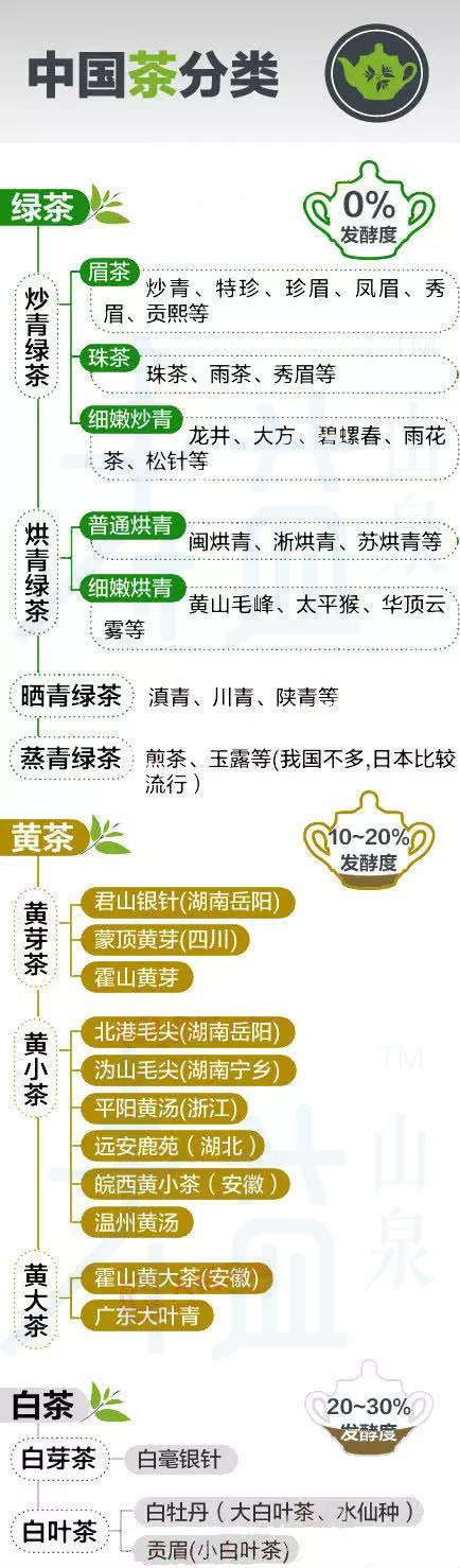 茶叶分类编码查询网站，数字化指南引领茶叶世界探索