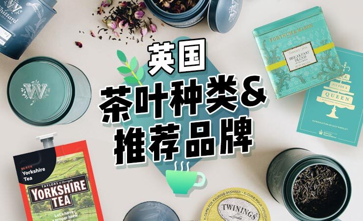 茶叶分类网站大全，探索茶叶世界的指南