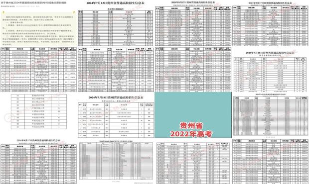 贵州分类考试志愿网站，助力高考学子实现学府梦想