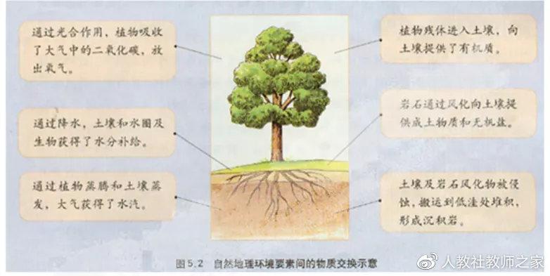 土壤分类教案网站app设计与推广，农业教育的数字化革新助力器