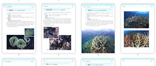 海洋生物分类网站，数字化世界探索之旅