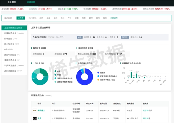 服务网站行业深度分类解析与前景展望