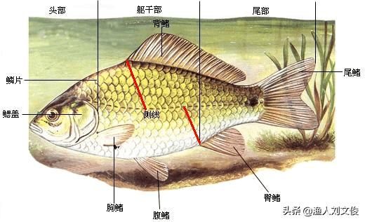 2025年1月30日 第27页