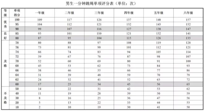 全球网站分类标准表格及其实际应用概览