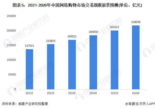 网站分类发展趋势探索，多元化与个性化并行