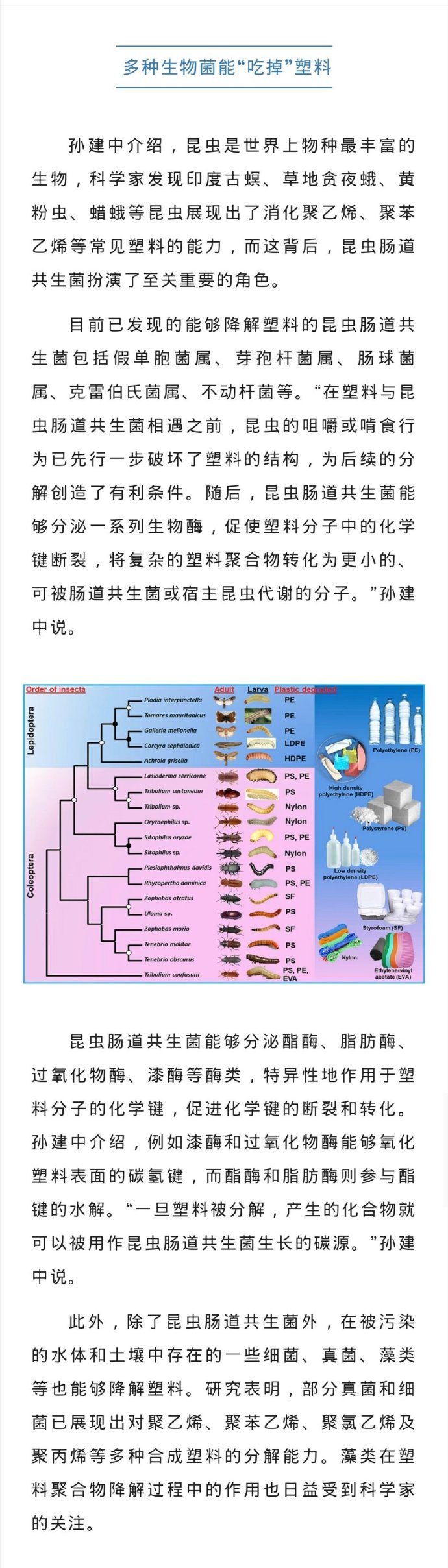 生物分类表优质网站资源免费下载