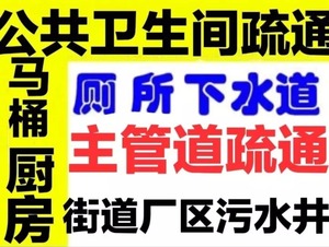 泸州小蚂蚁网站，分类信息的力量与数字化革新之路