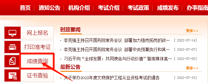 全面指南，如何查看网站分类考试排名