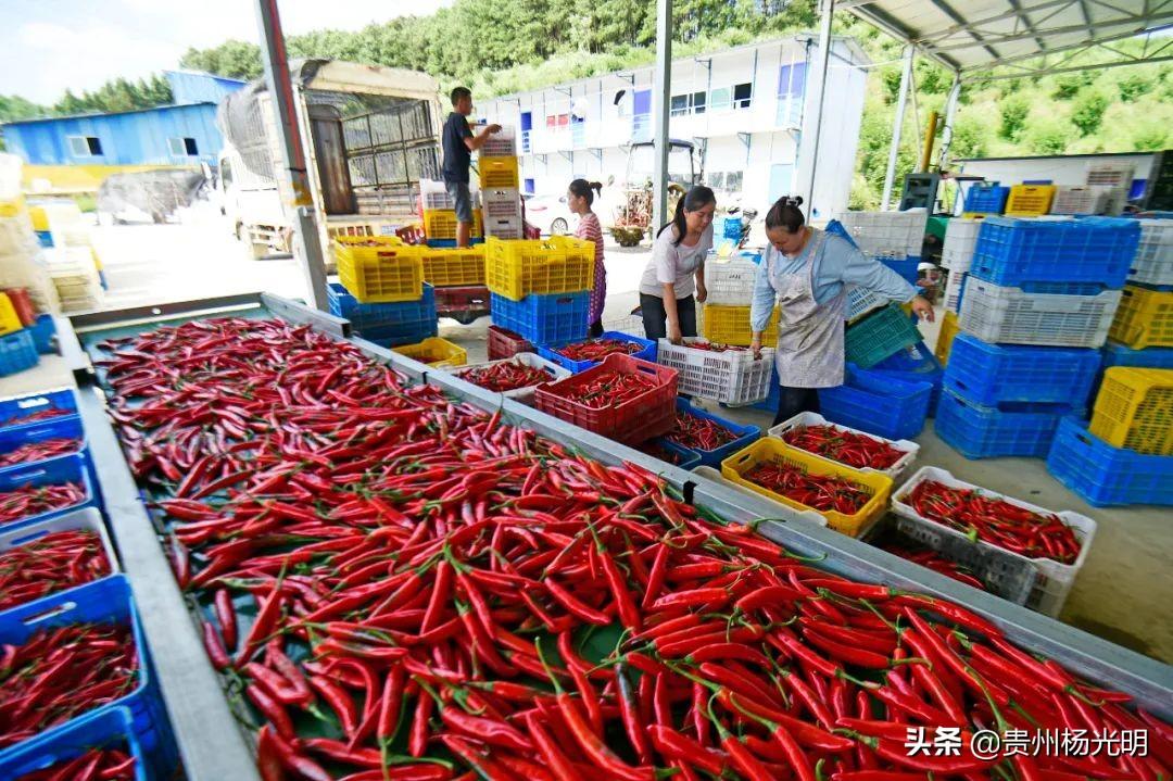 锦屏县分类网站优化策略与实践探索