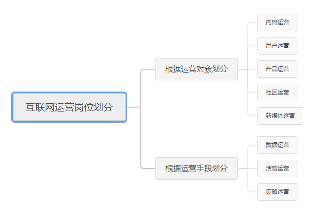 京东网站运营类型分类深度解析与探讨