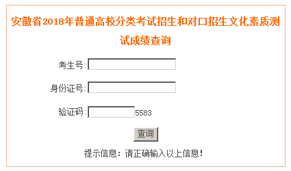 安徽分类招生查分网站，快速便捷获取招生考试成绩的渠道