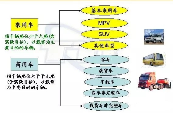 探索种子网站的世界，分类最大的宝藏库