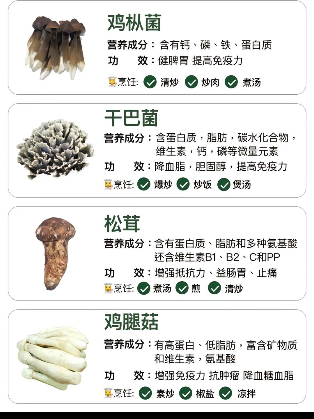 菌物分类探索之旅，专业网站引领前沿研究