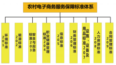 农村电商网站建设的分类与重要性解析