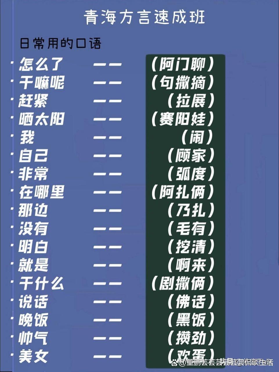 方言文化与分类权威网站大全，深度探索方言文化的网络门户