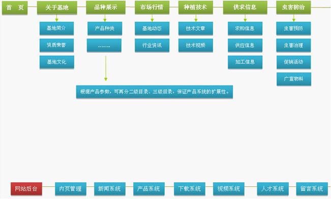 分类信息网站建设PPT全面解析